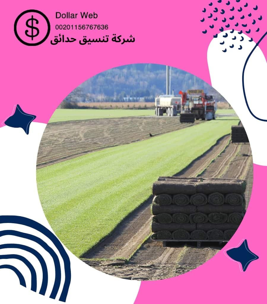 ارخص محلات تنسيق حدائق بالرياض