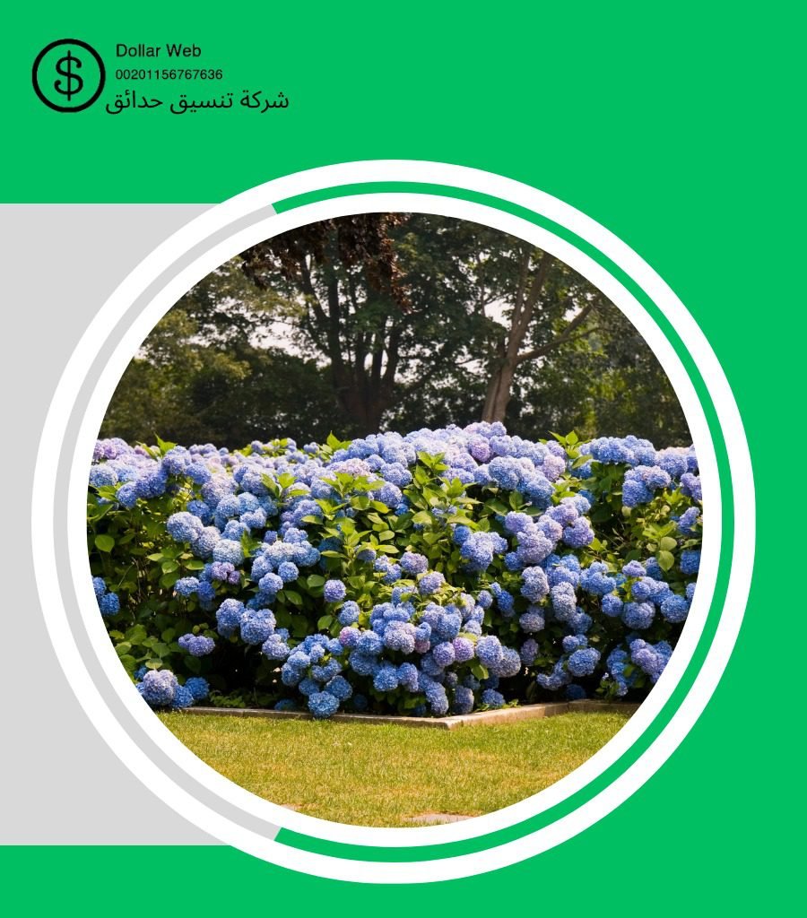 شركة تنسيق حدائق الحاير