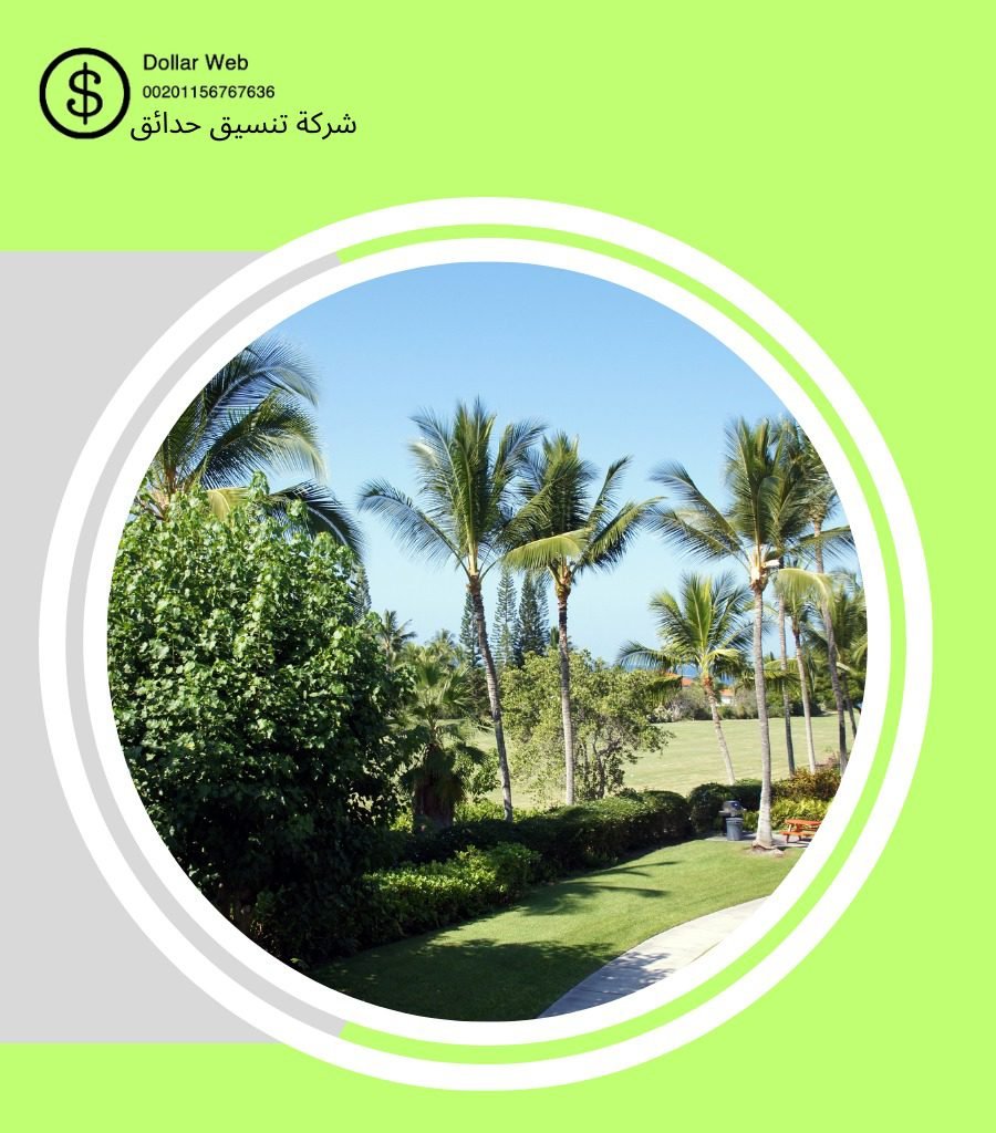 شركة تركيب رزاز و ضباب