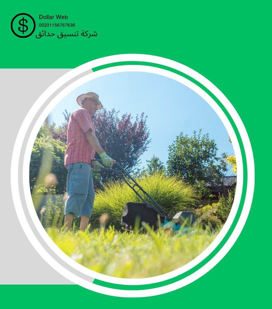 شركات زراعة الحدائق بالسلي