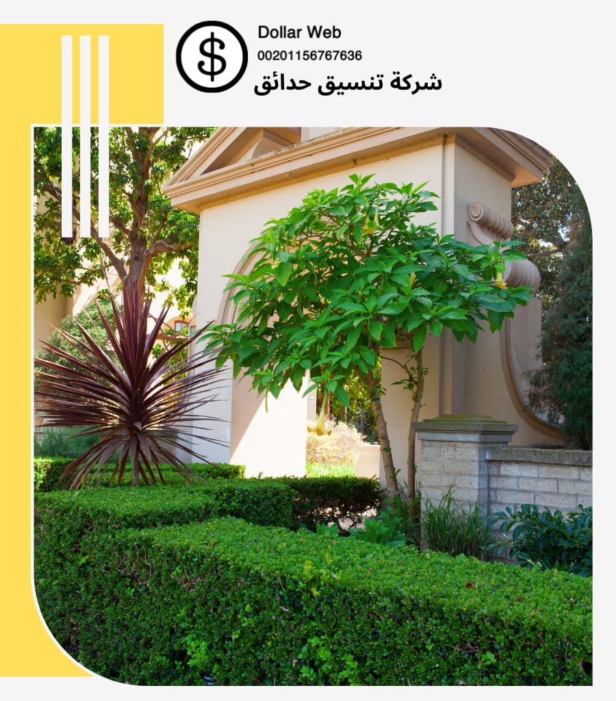 ارخص تكلفة انشاء ملعب كرة قدم