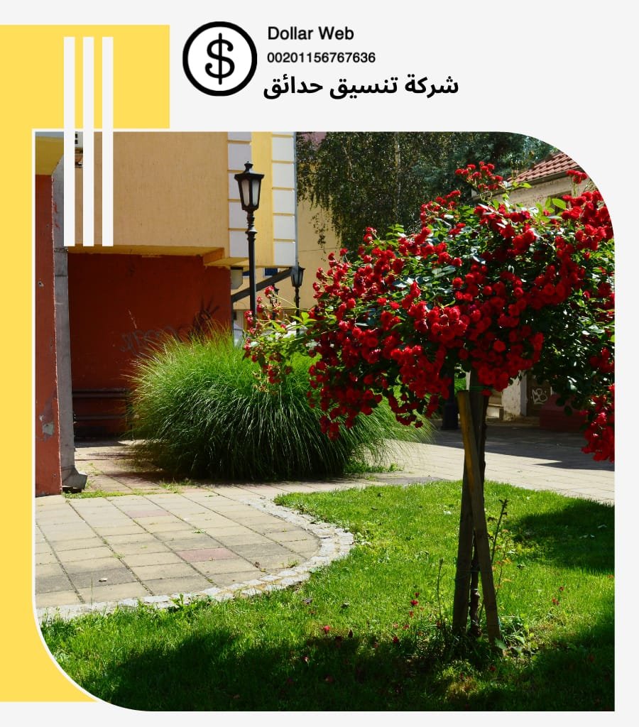 تنسيق حدائق حي الربيع