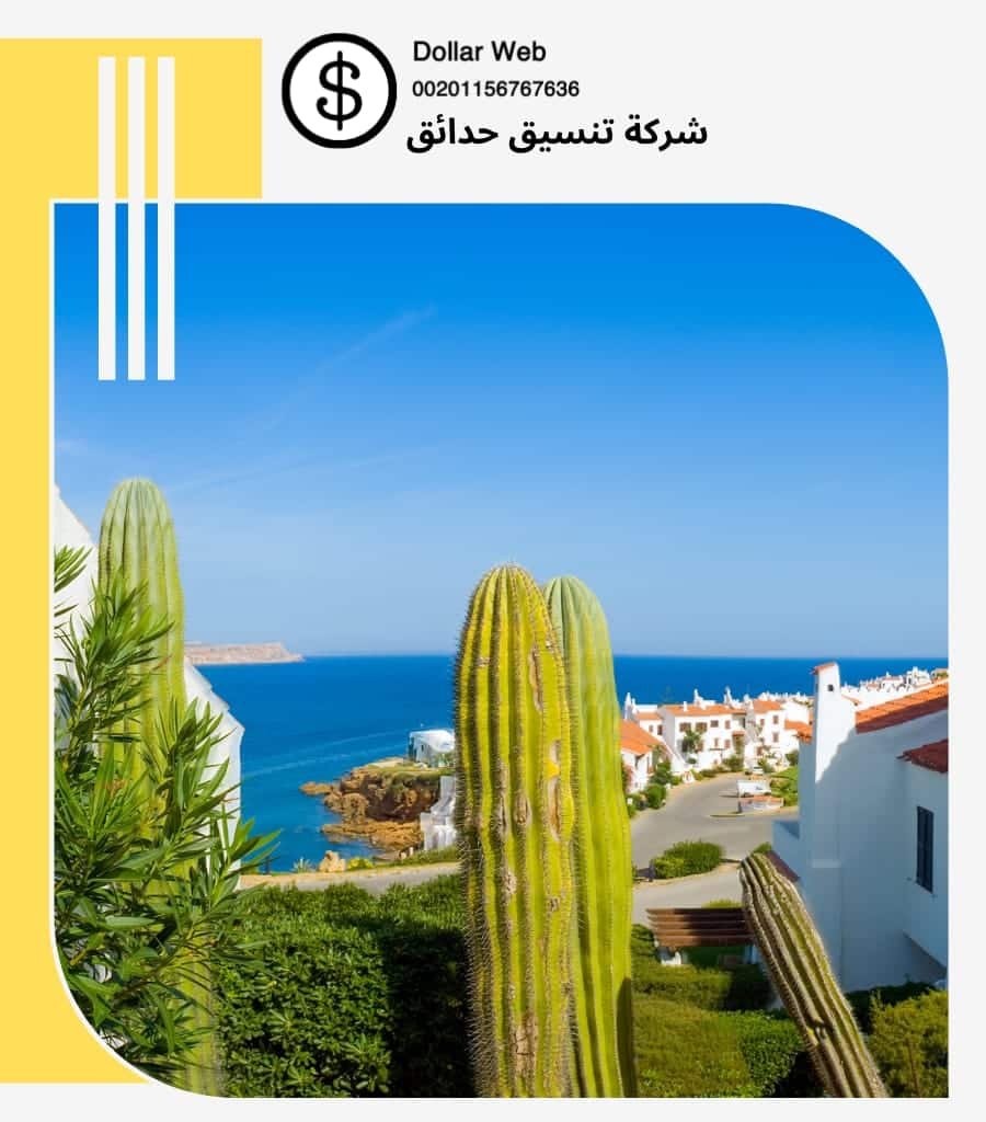 شركة تنسيق حدائق المربع