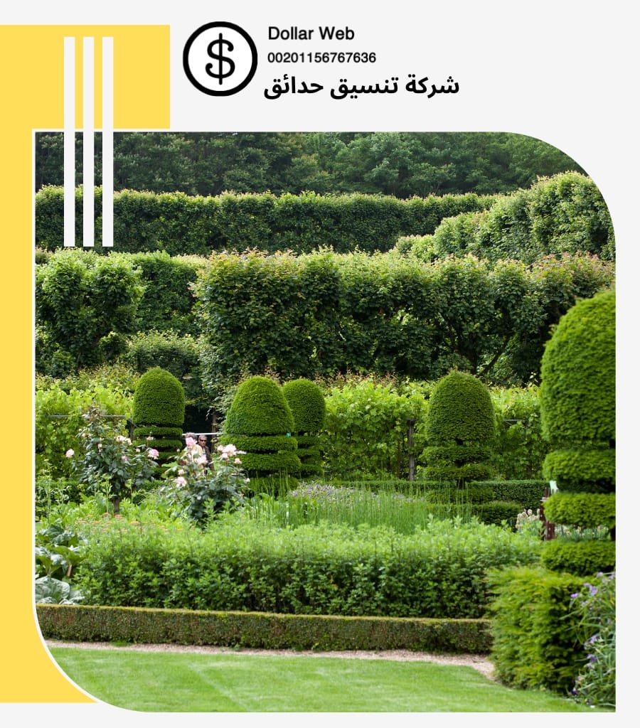 شركة تنسيق حدائق الصالحية