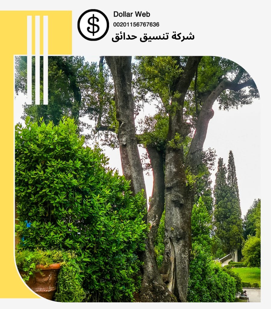 شركة تنسيق حدائق الفاخرية