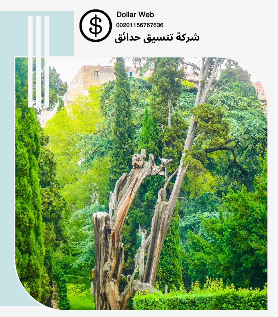 شركة تنسيق حدائق منفوحة