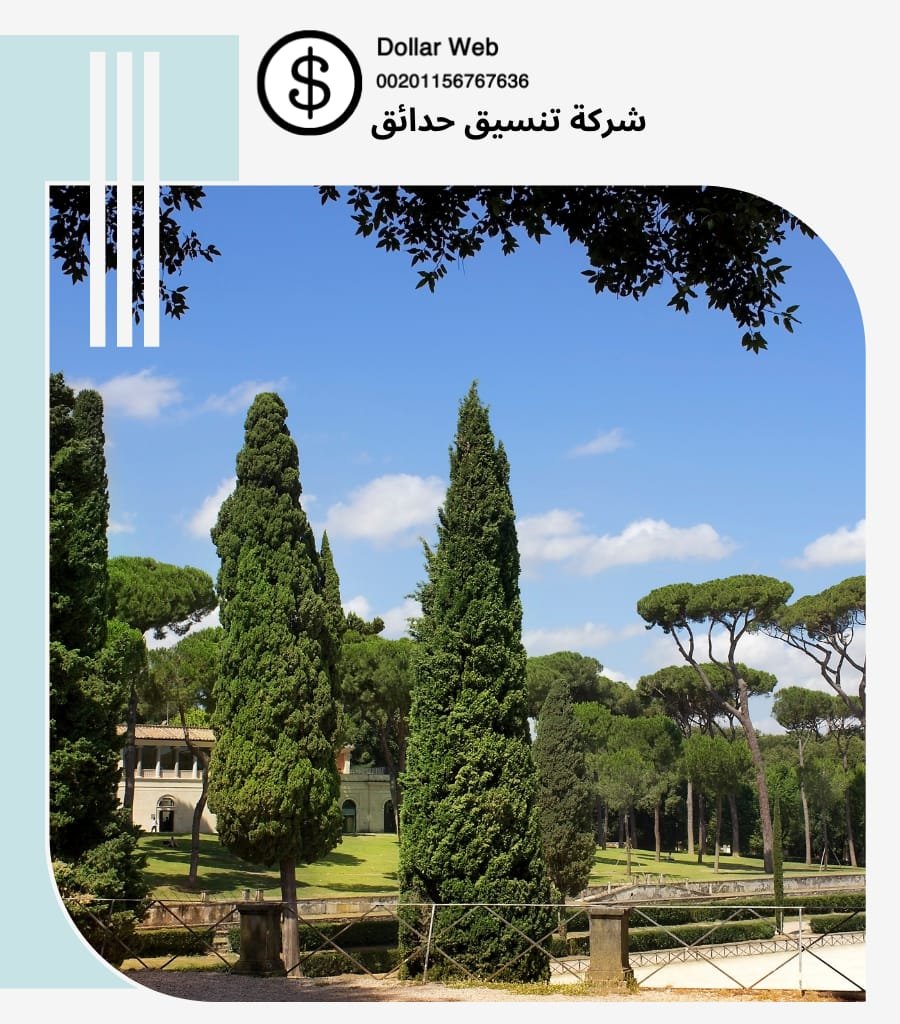 تنسيق حدائق منازل بمنفوحة