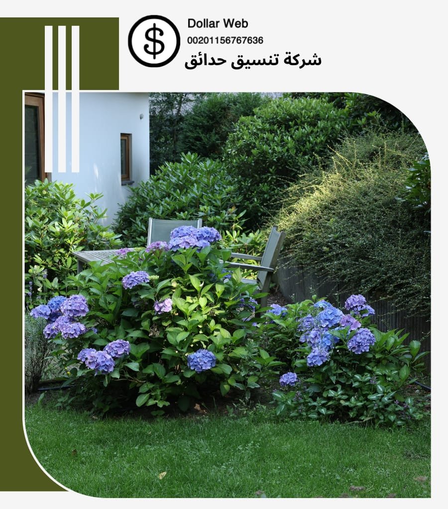 شركة تنسيق الحدائق الرياض