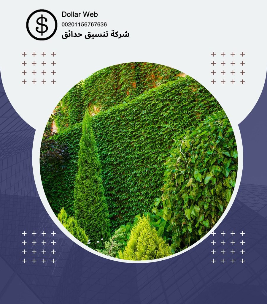 انشاء ملاعب عشب صناعي